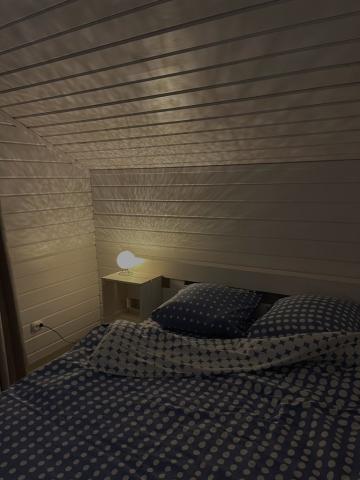 Елена фото 3